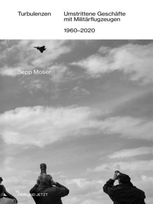 cover image of Turbulenzen